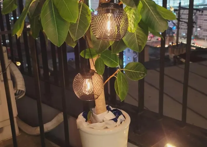 Coco * Seoul